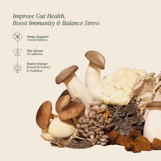 OM MUSHROOM SUPERFOOD textura del polvo orgánico cerca para ver finura