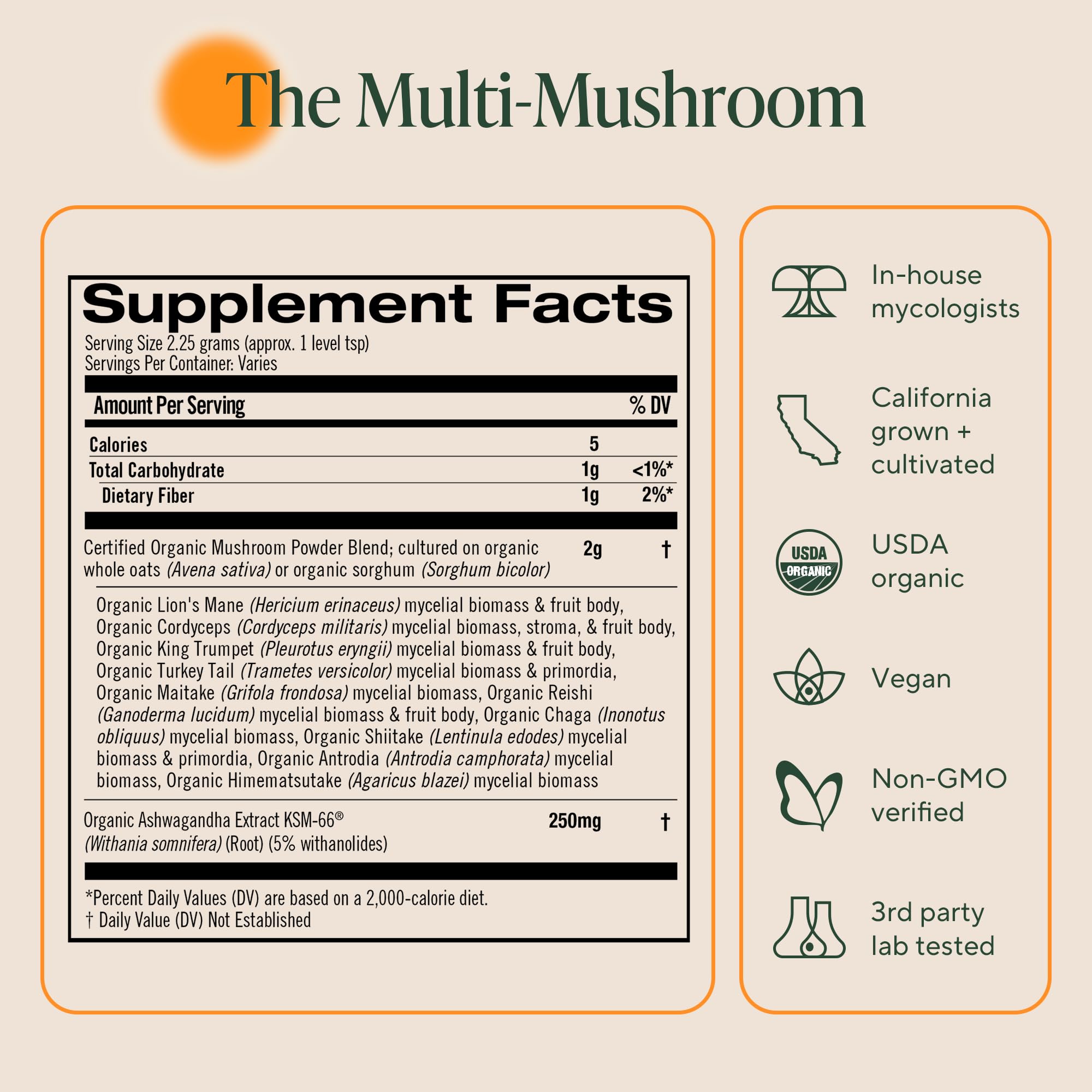 OM MUSHROOMS frasco junto a una regla para comparar tamaño del producto