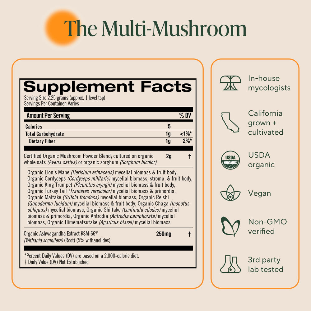 OM MUSHROOMS frasco junto a una regla para comparar tamaño del producto