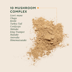 OM MUSHROOMS primer plano del polvo mostrando textura fina y pura