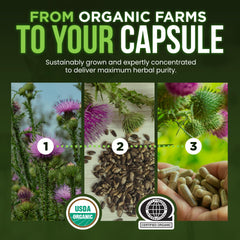 OmniBiotics frasco en mano para comparar tamaño y cantidad