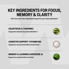 ONNIT cápsulas Alpha Brain distribuidas sobre mesa para visualización clara