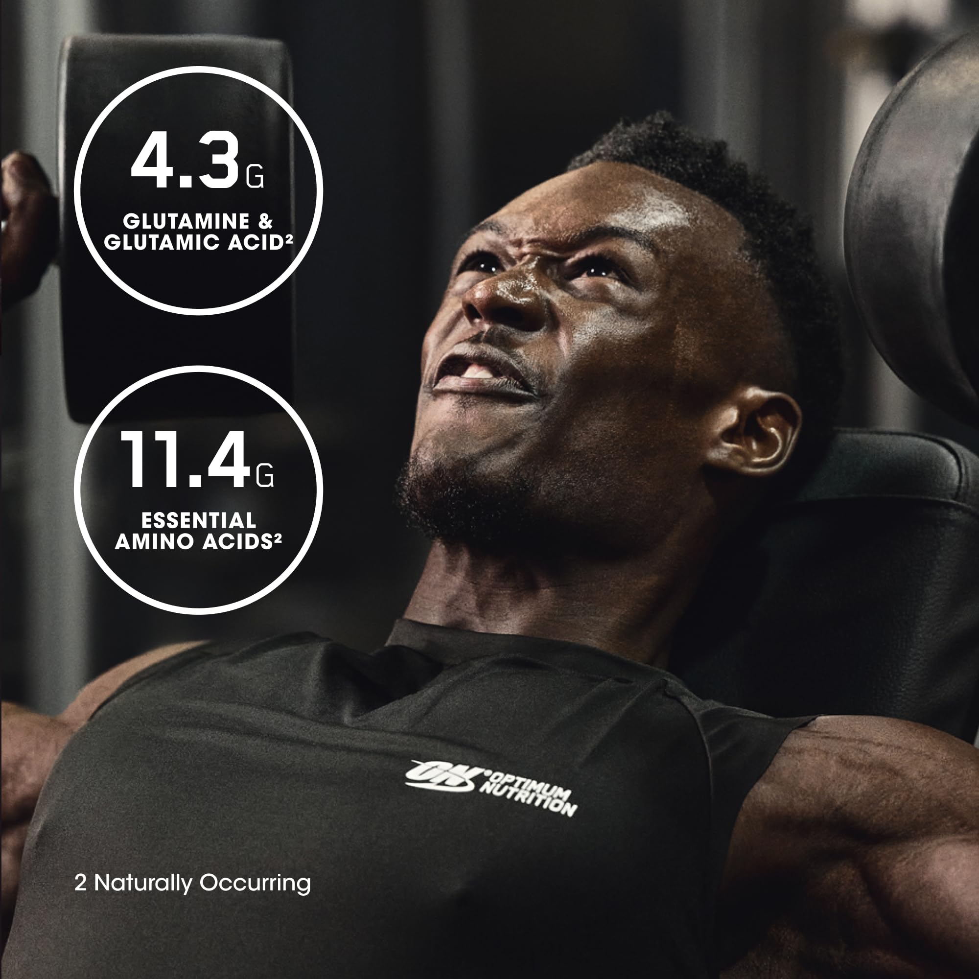 Optimum Nutrition batido en gimnasio tras ejercicio para recuperación proteica