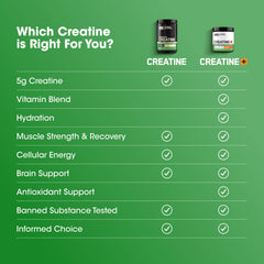 Optimum Nutrition producto junto a pesas representando apoyo en sesiones intensas