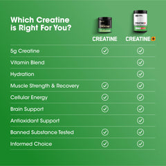 Envase junto a una mano para comparar tamaño del bote Optimum Nutrition, idea de porciones