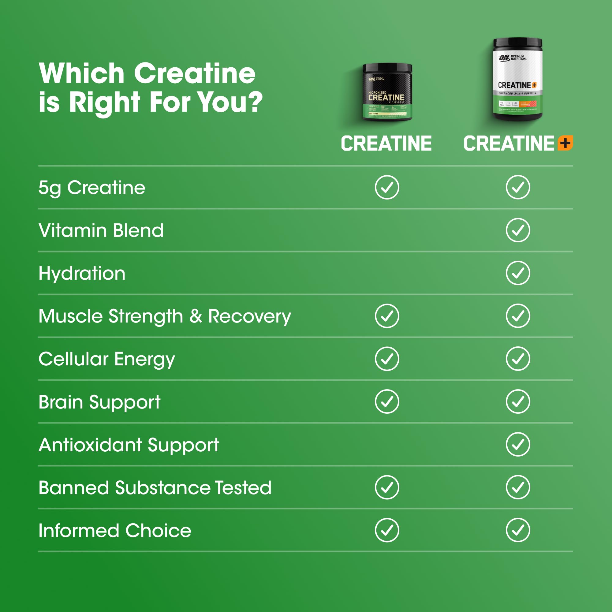 Optimum Nutrition envase junto a pesa para apreciar tamaño y 80 servicios