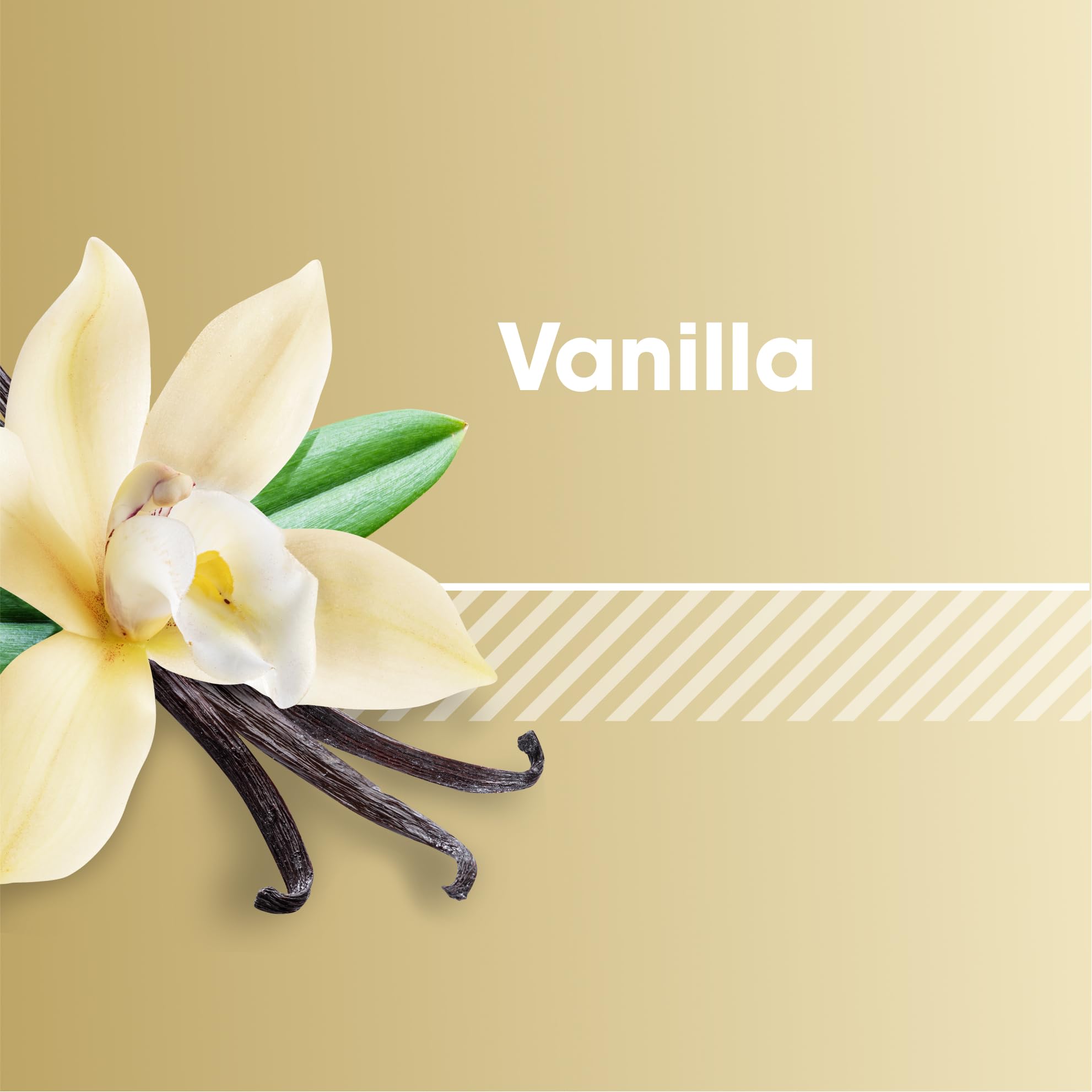 Optimum Nutrition polvo de vainilla textura fina rica en proteína