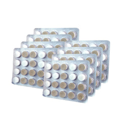Oracoat XyliMelts primer plano del disco mostrando textura y disolución controlada