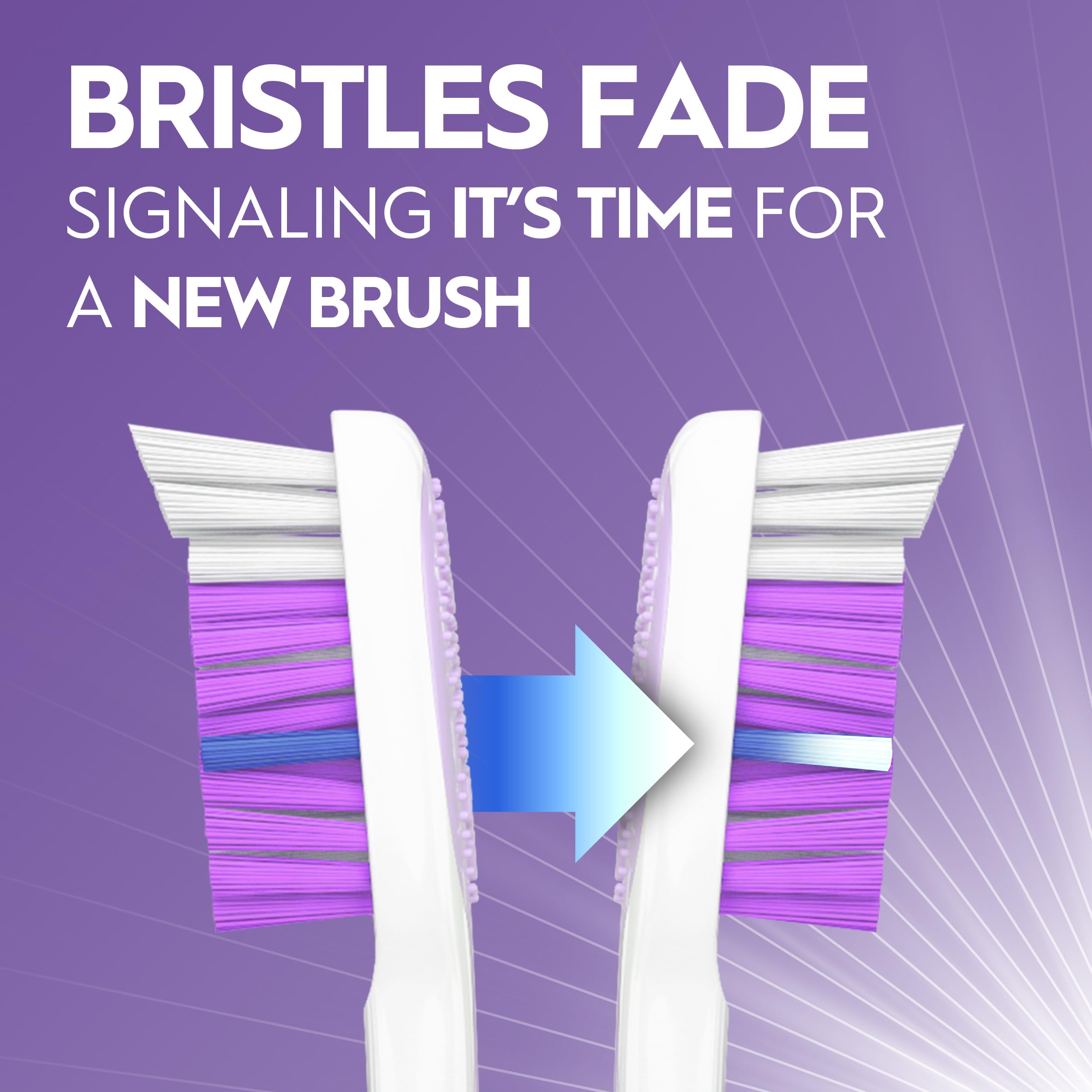 Oral-B paquete de cuatro cepillos sobre fondo blanco, ideal para familias