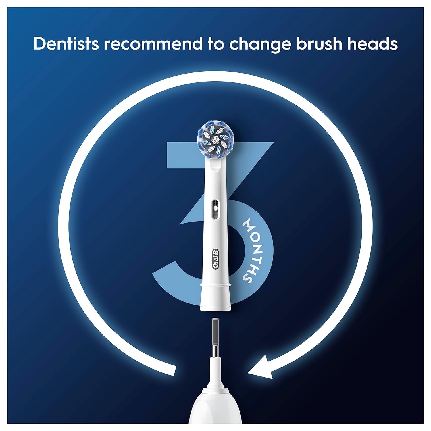 Oral-B tamaño del cabezal en mano para comparar escala y ajuste