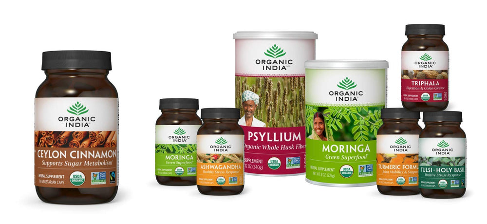 ORGANIC INDIA agricultor en plantación de canela, cultivo sostenible y comunitario
