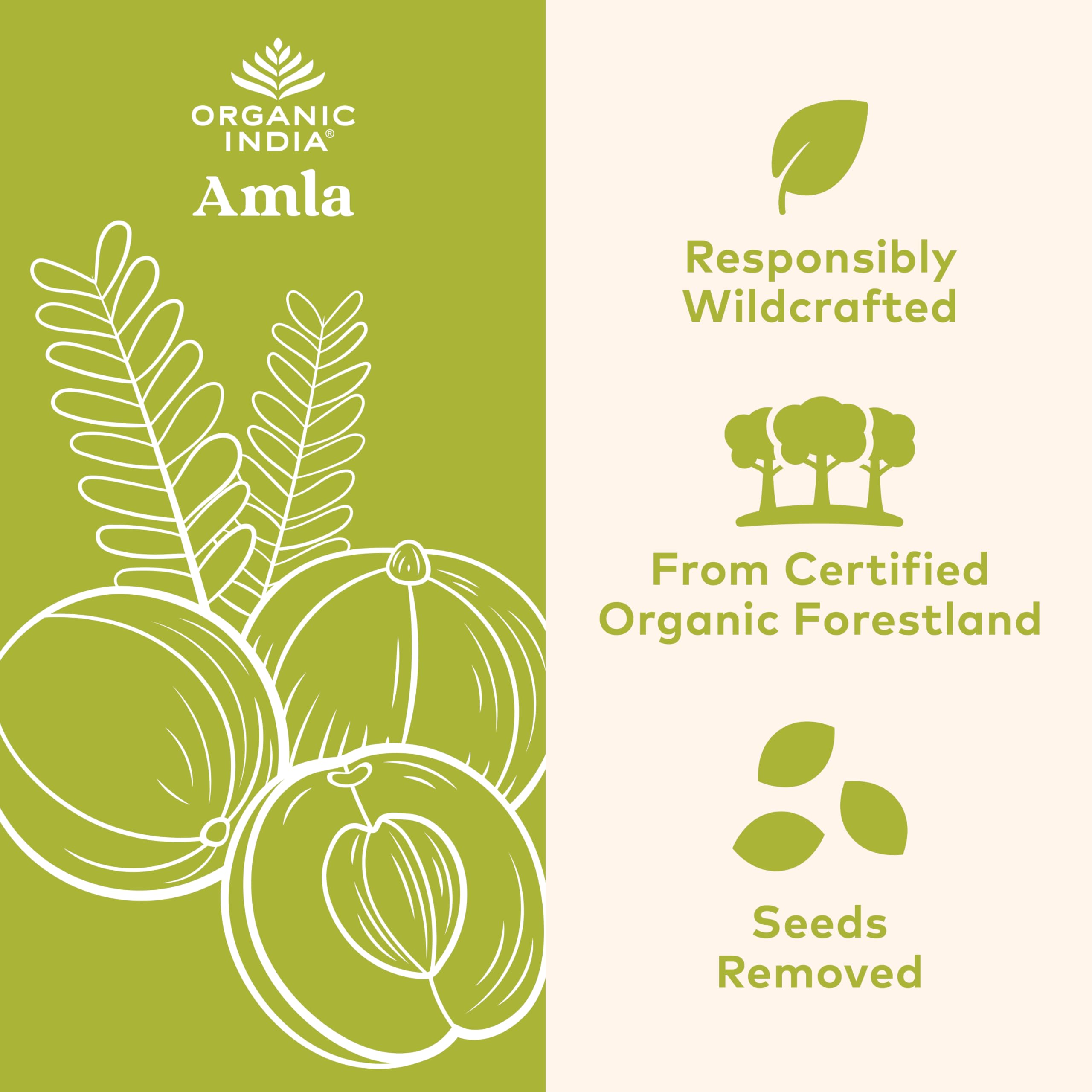 ORGANIC INDIA envase lateral con etiqueta legible y lista de atributos orgánicos