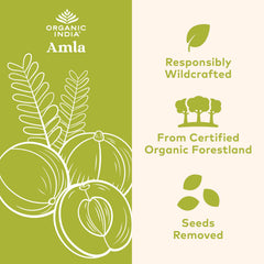 ORGANIC INDIA envase lateral con etiqueta legible y lista de atributos orgánicos