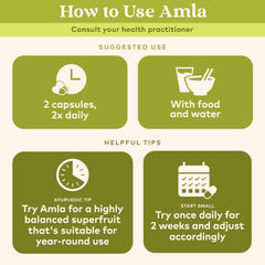 ORGANIC INDIA ramas y frutos de Amla representando origen silvestre y naturalidad
