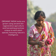 ORGANIC INDIA batido vegano con ashwagandha para energía equilibrada