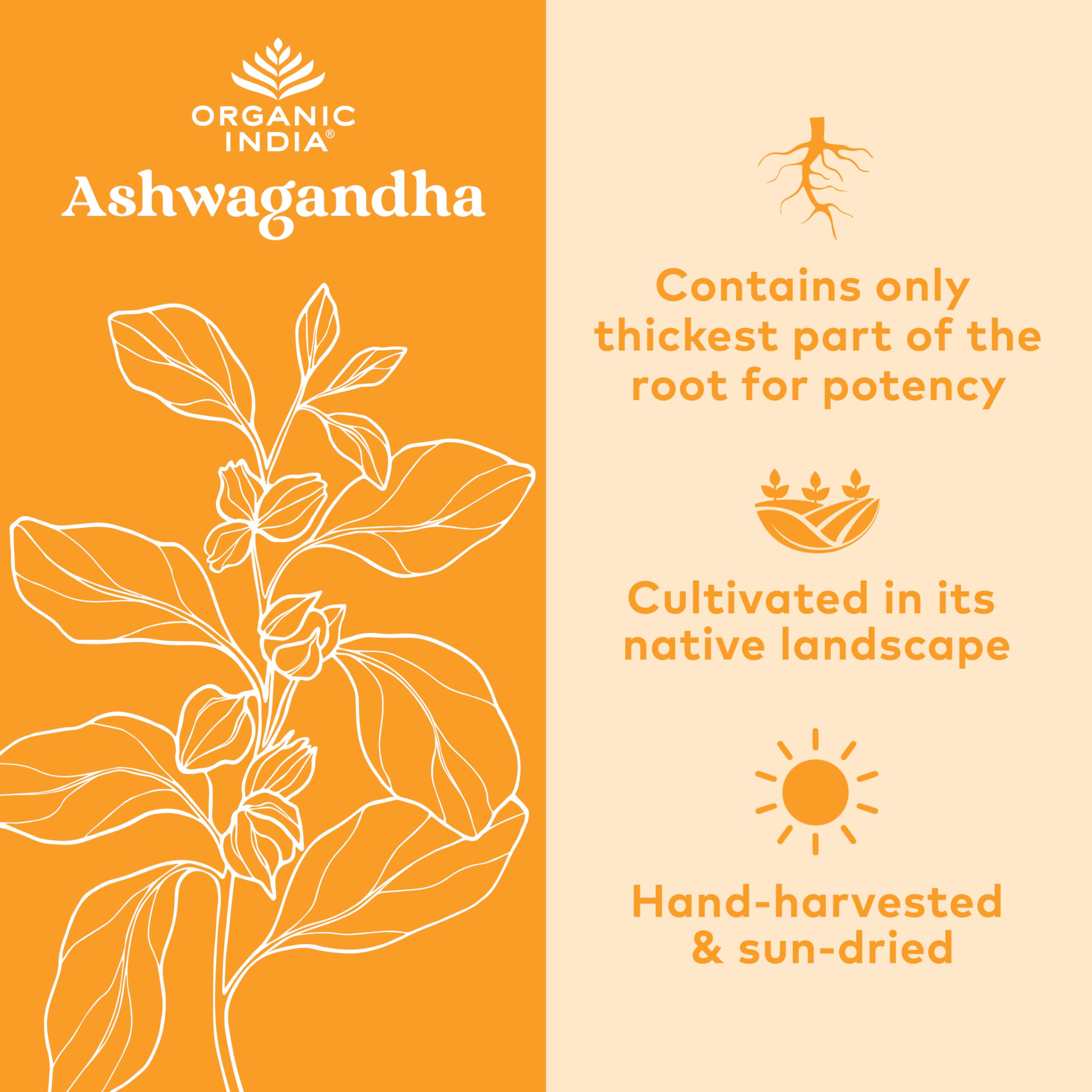 ORGANIC INDIA cápsulas sostenidas en mano para referencia de dosis