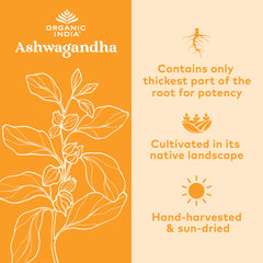 ORGANIC INDIA cápsulas sostenidas en mano para referencia de dosis