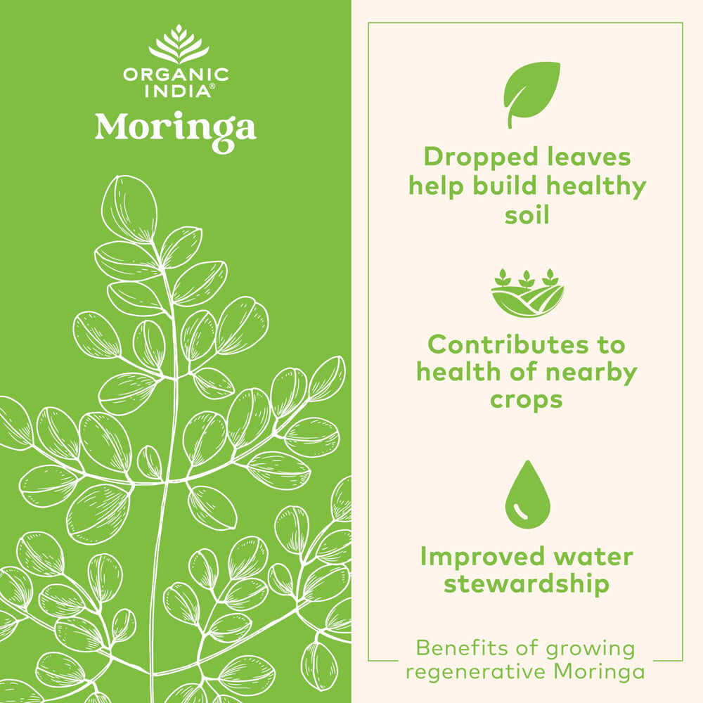 ORGANIC INDIA cápsula en mano para mostrar tamaño y portabilidad