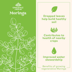 ORGANIC INDIA cápsula en mano para mostrar tamaño y portabilidad
