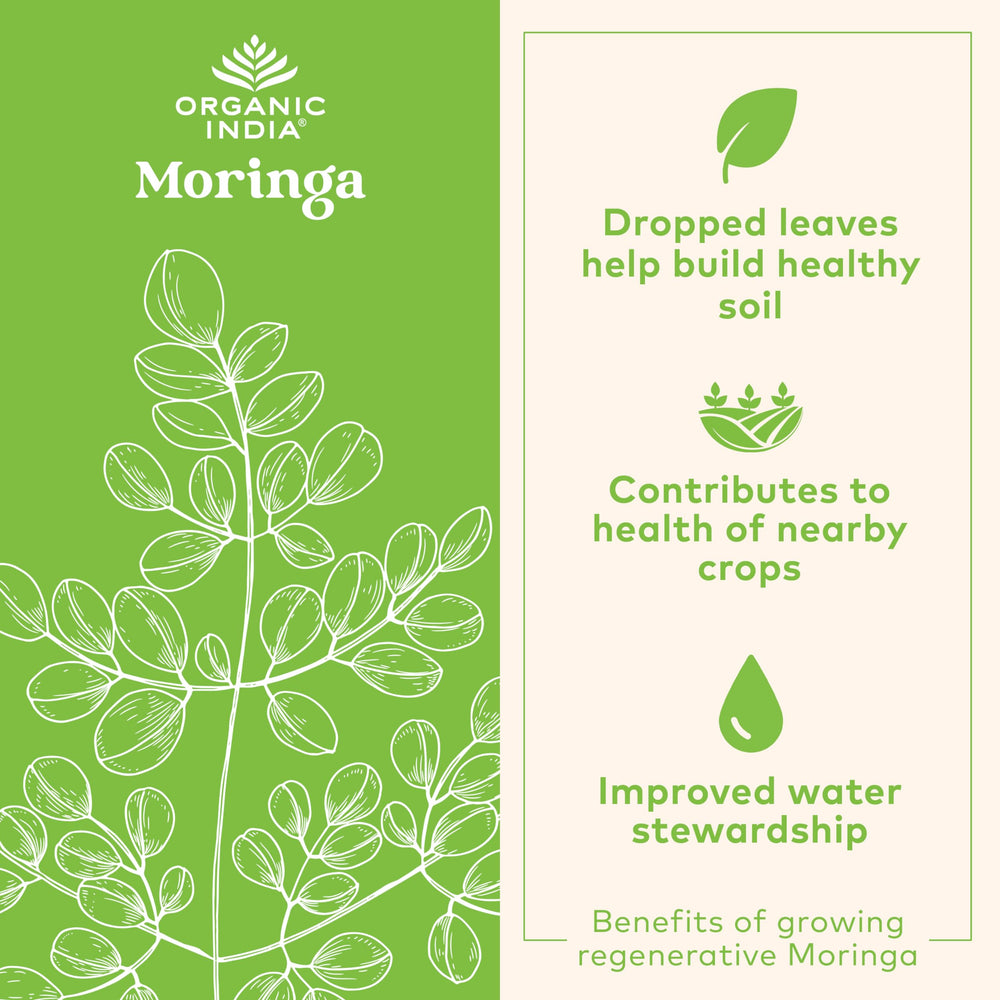 ORGANIC INDIA polvo de moringa textura fina color verde evidencia de pureza vegetal