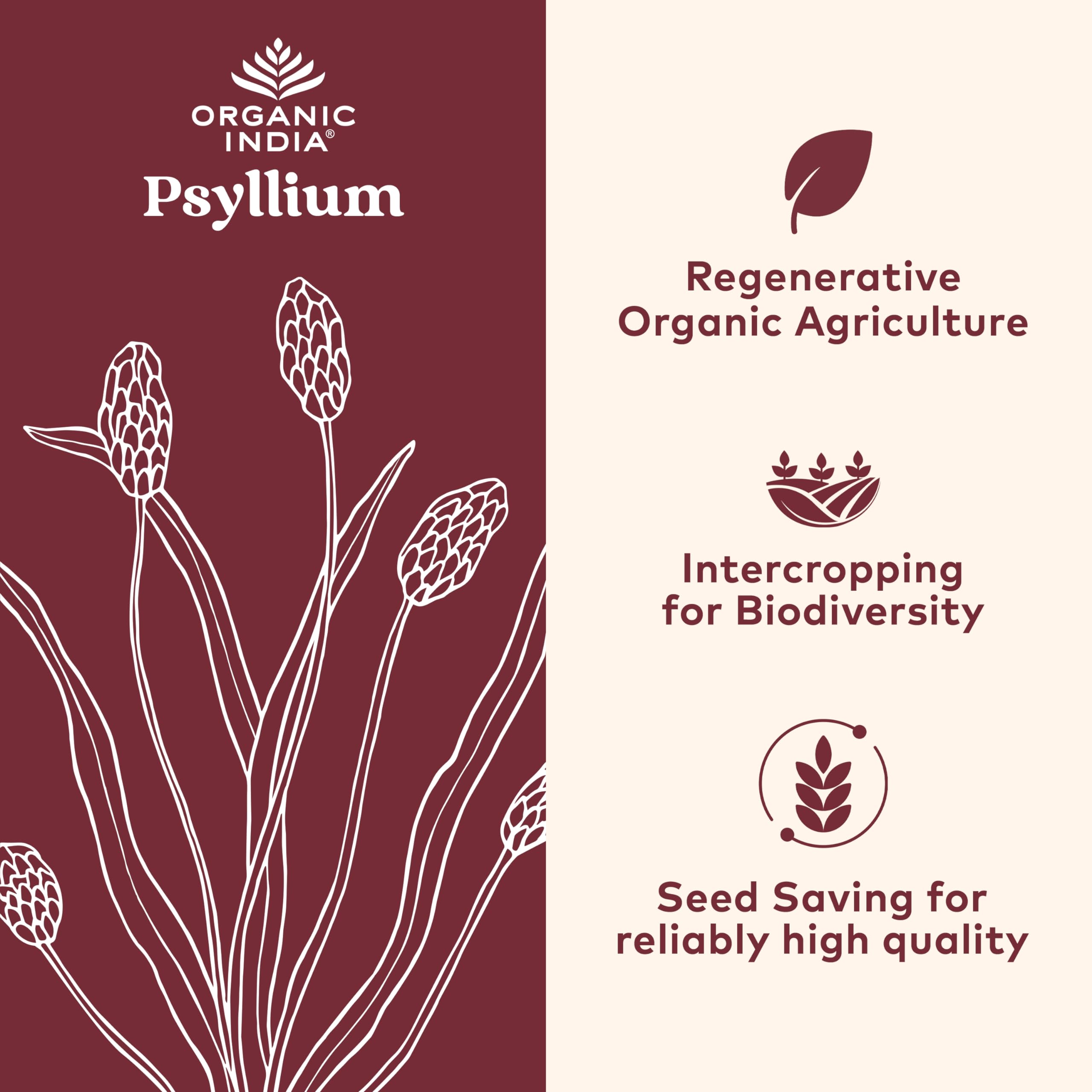 ORGANIC INDIA cápsula abierta con textura de psyllium para visual de fibra