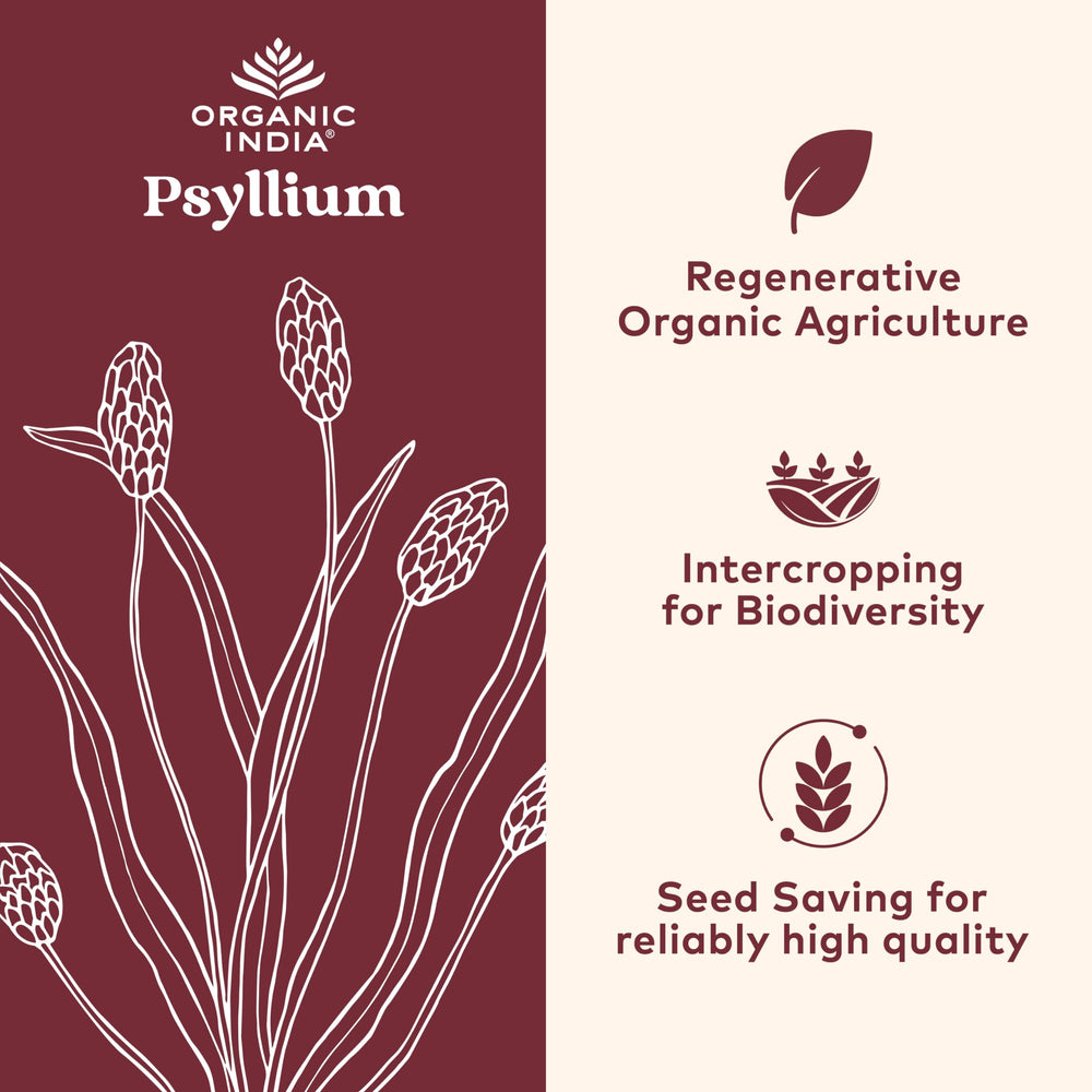 ORGANIC INDIA cápsula abierta con textura de psyllium para visual de fibra
