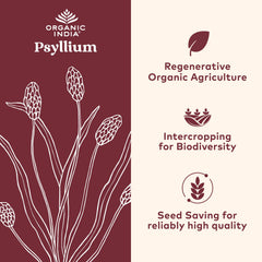 ORGANIC INDIA cápsula abierta con textura de psyllium para visual de fibra