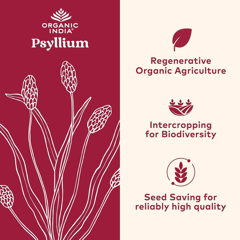 Primer plano del polvo de psyllium ORGANIC INDIA resaltando textura fina y versatilidad