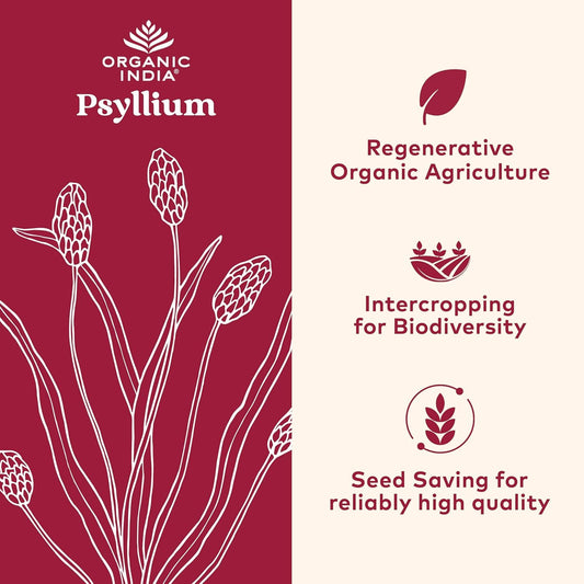 Primer plano del polvo de psyllium ORGANIC INDIA resaltando textura fina y versatilidad