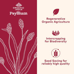 Primer plano del polvo de psyllium ORGANIC INDIA resaltando textura fina y versatilidad