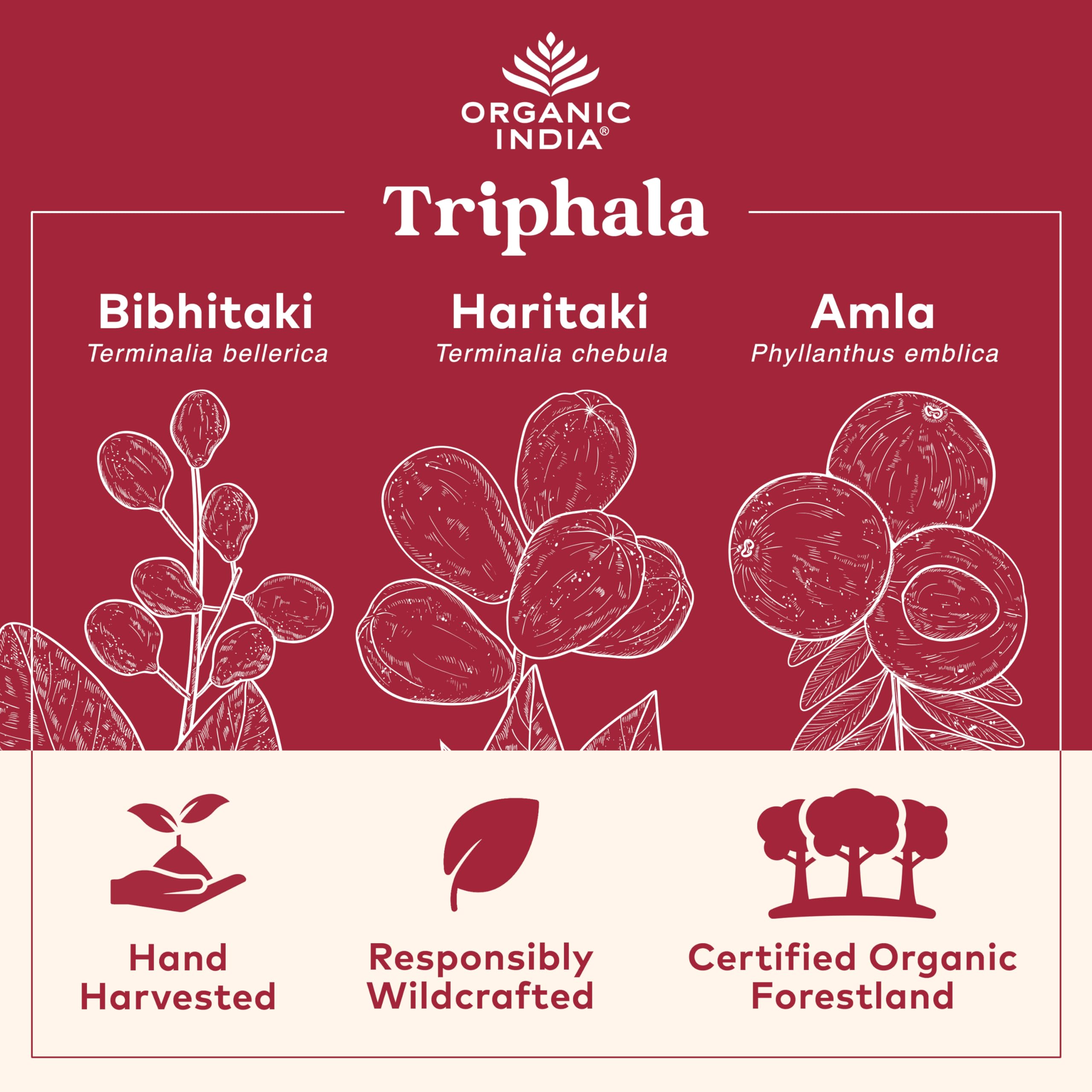 ORGANIC INDIA cápsulas Triphala en primer plano mostrando textura y tamaño cómodo