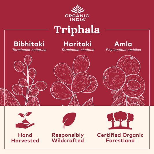 ORGANIC INDIA cápsulas Triphala en primer plano mostrando textura y tamaño cómodo