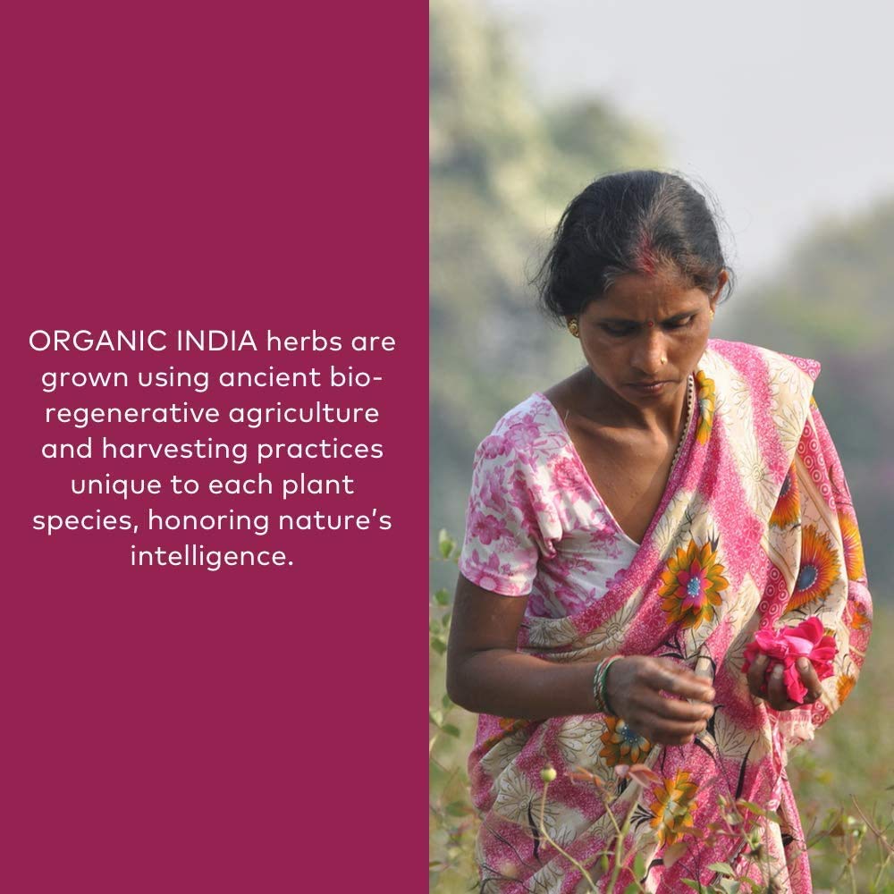 ORGANIC INDIA cuchara con Triphala disuelta en agua tibia, soporte digestivo natural