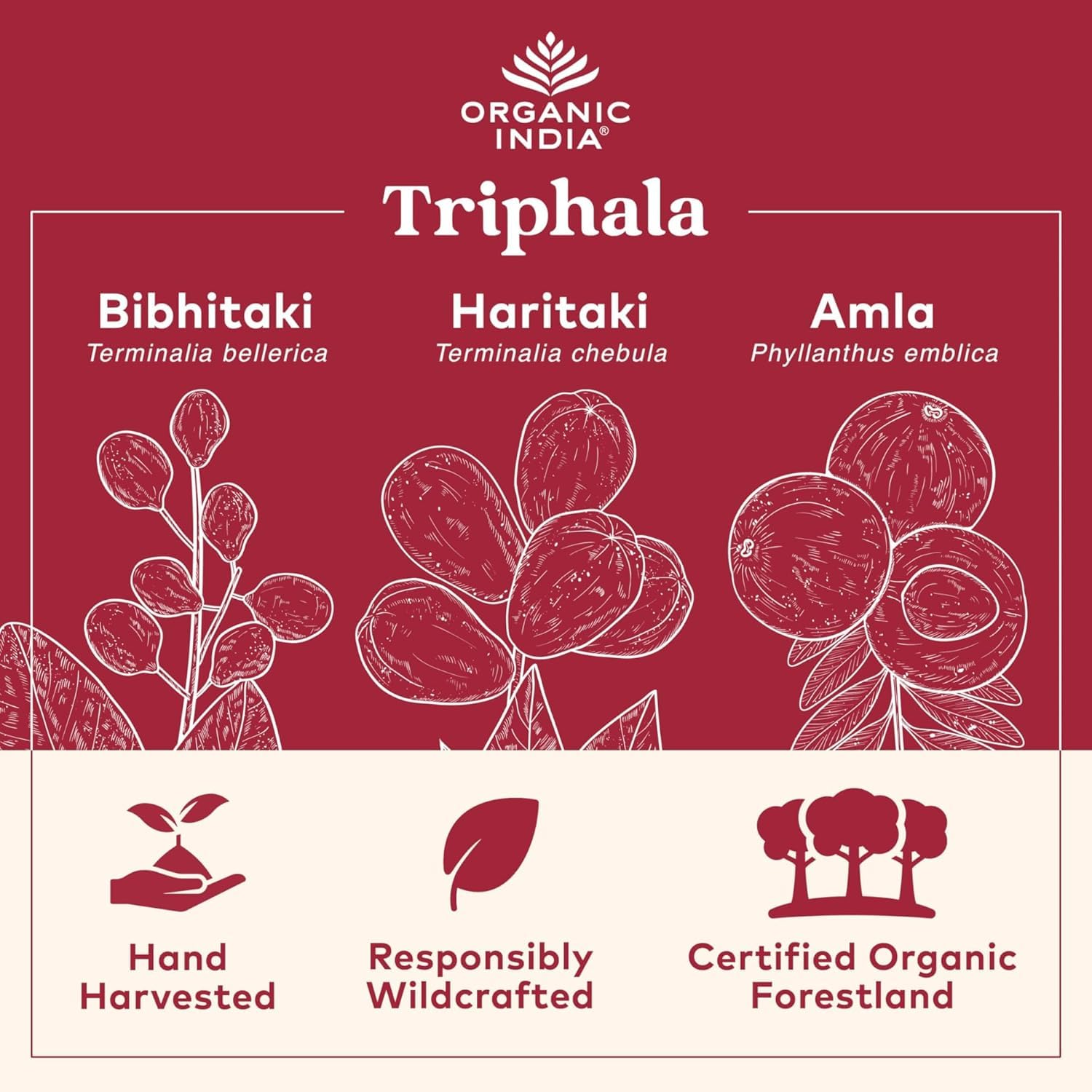 ORGANIC INDIA etiqueta con certificaciones orgánicas y LEED Platinum visible