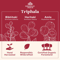ORGANIC INDIA etiqueta con sellos orgánicos y certificaciones visibles
