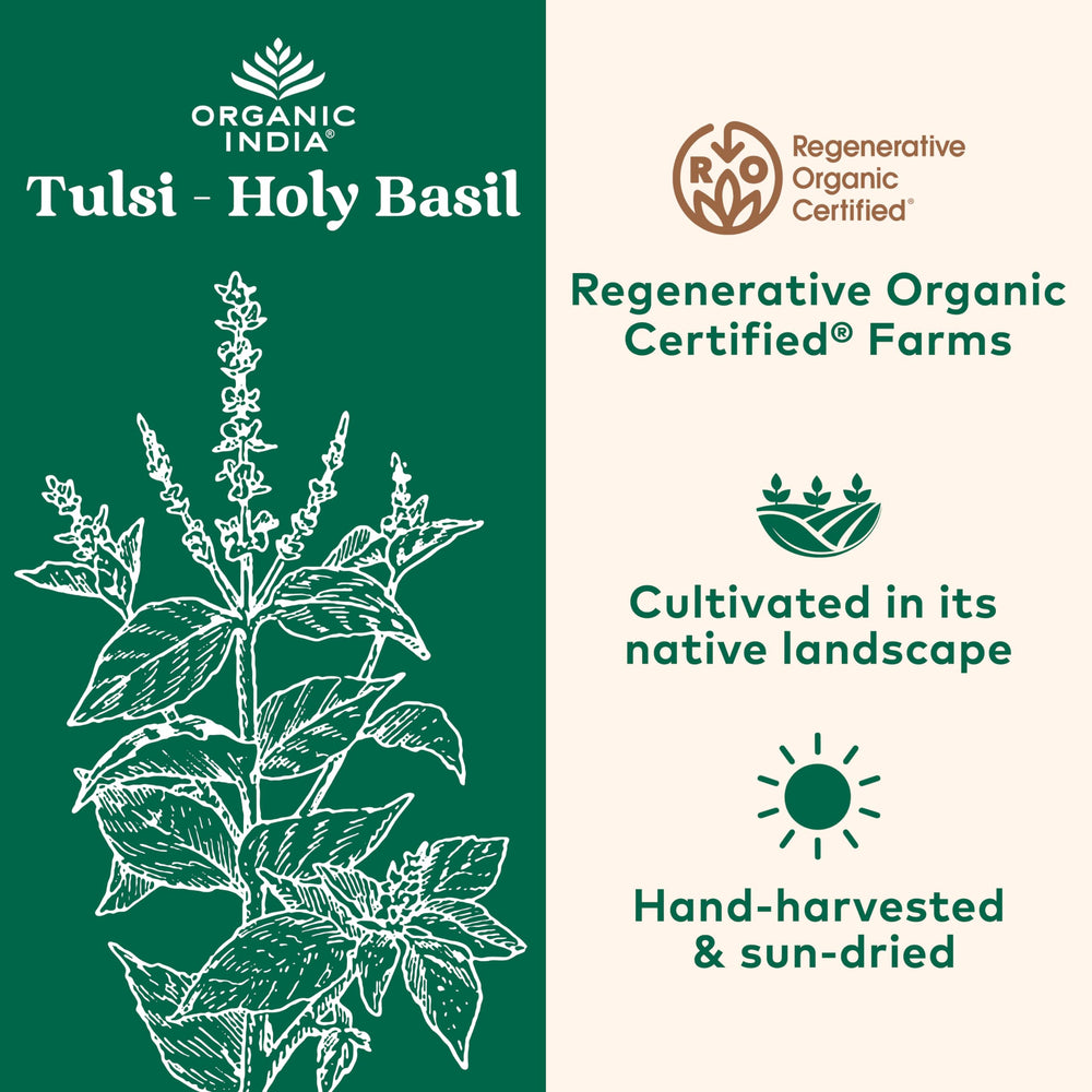 mano sosteniendo una cápsula ORGANIC INDIA para mostrar tamaño y dosificación