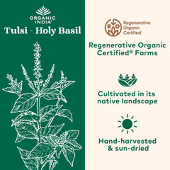 mano sosteniendo una cápsula ORGANIC INDIA para mostrar tamaño y dosificación