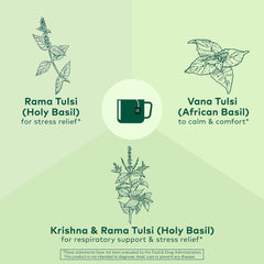 ORGANIC INDIA taza con infusión de Tulsi que transmite calma