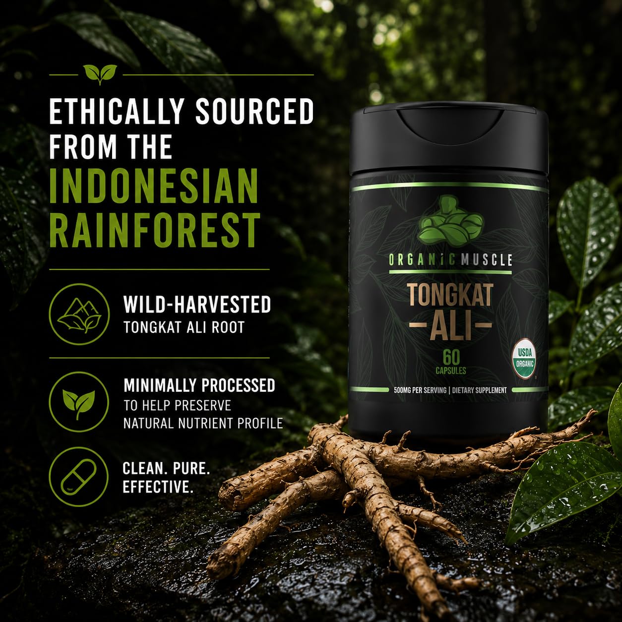Organic Muscle polvo de raíz molida textura natural preservada y perfil fitoquímico