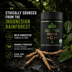 Organic Muscle polvo de raíz molida textura natural preservada y perfil fitoquímico