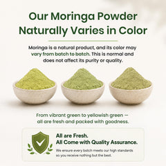 Organic Spice Resource moringa añadida a receta muestra versatilidad culinaria