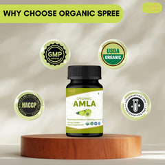 ORGANIC SPREE envase abierto con tabletas ordenadas en primer plano