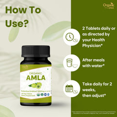 ORGANIC SPREE tabletas en la palma para visualizar dosis y tamaño