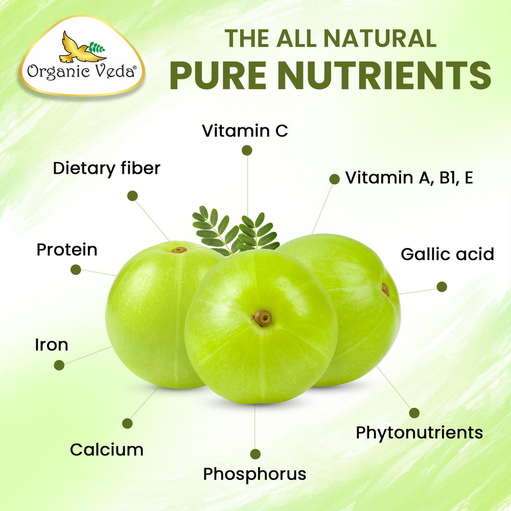 Organic Veda primer plano del polvo de amla, alta concentración antioxidante