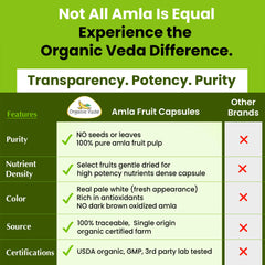 Organic Veda textura del polvo de amla, aspecto fino y natural