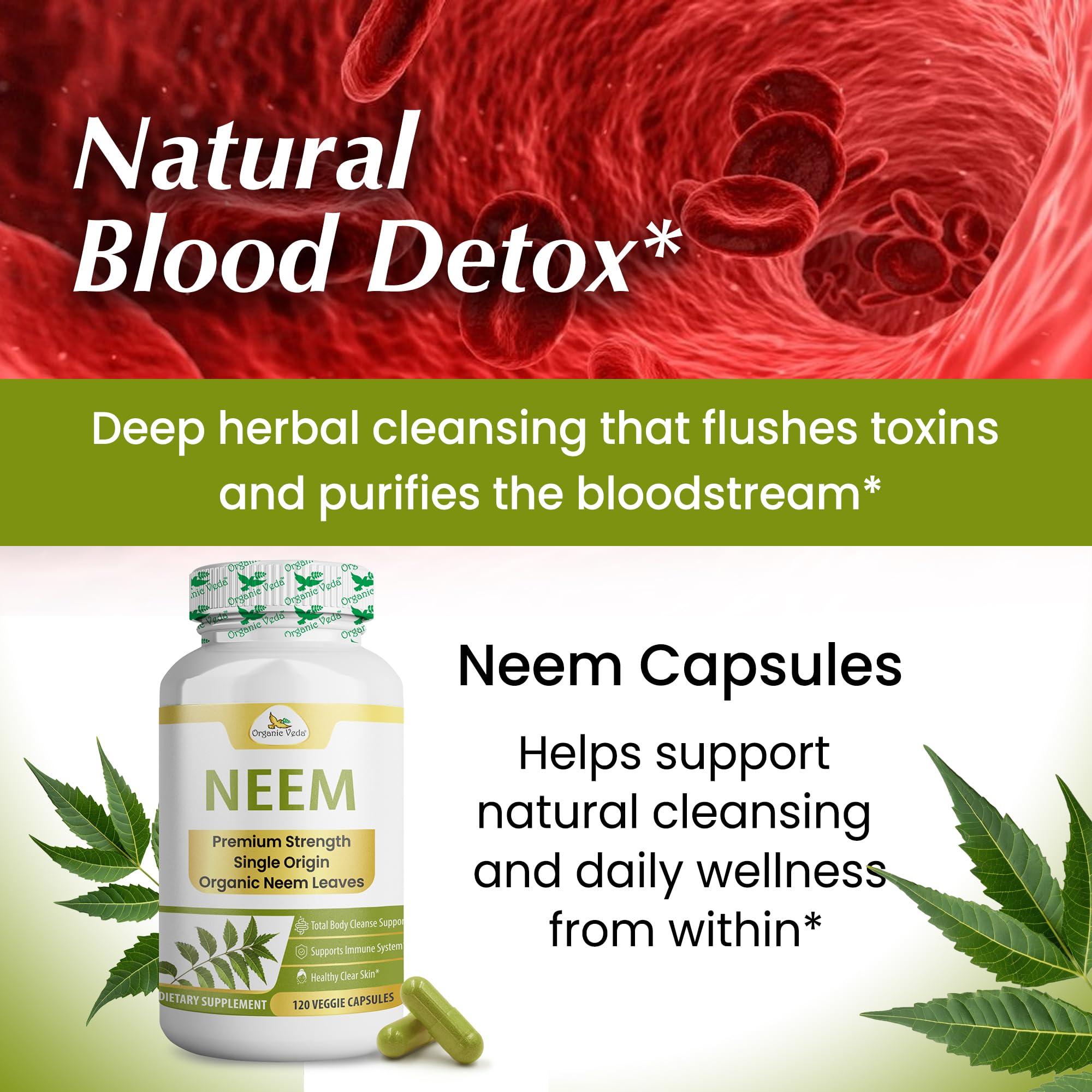 Organic Veda hojas de neem frescas junto al frasco, origen natural evidente