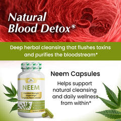 Organic Veda hojas de neem frescas junto al frasco, origen natural evidente