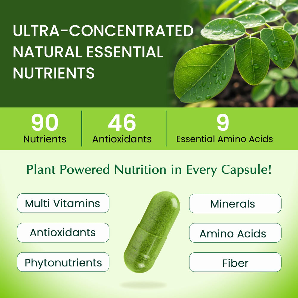 Organic Veda polvo de moringa en primer plano señalando su textura fina y pureza