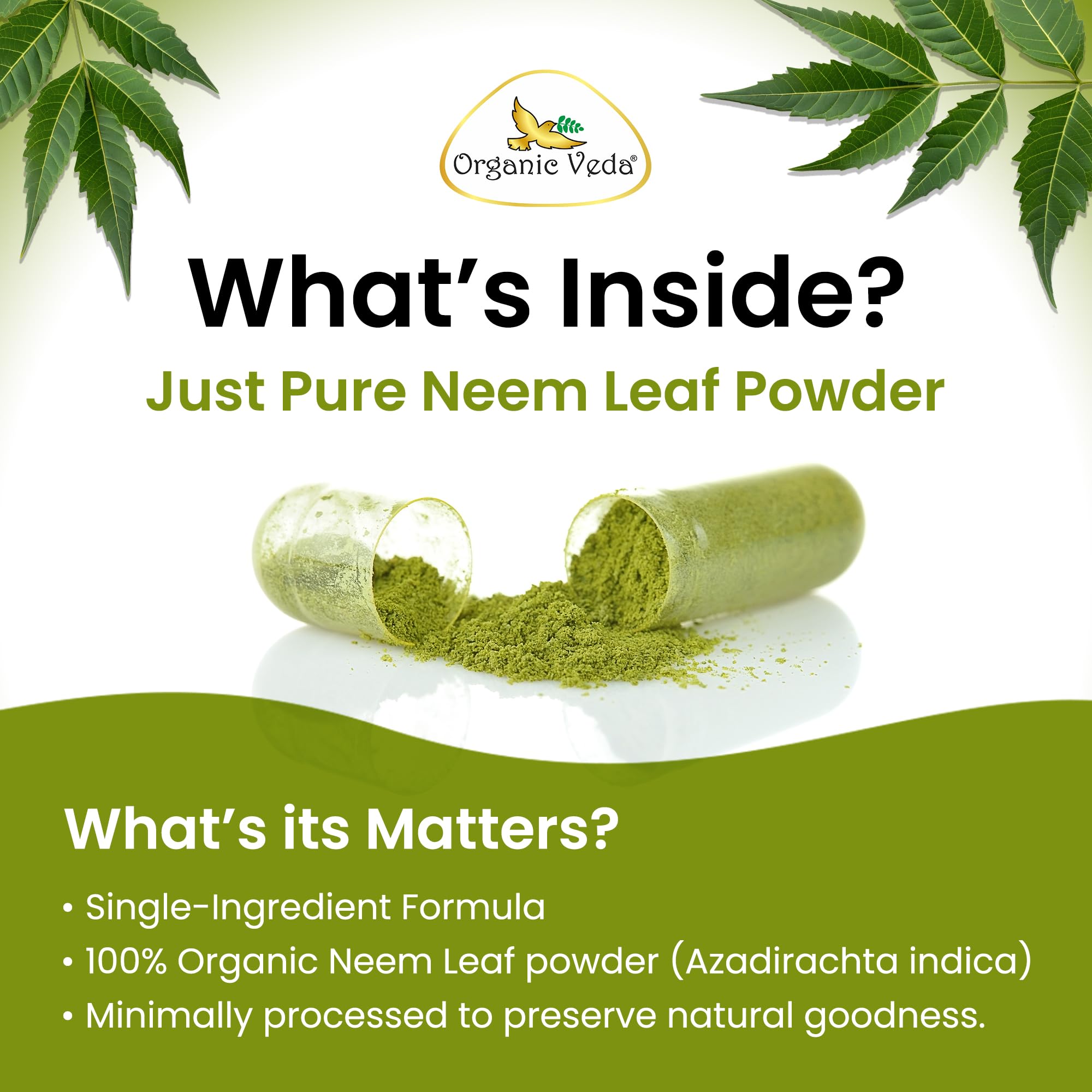 Organic Veda primer plano del polvo de neem, pureza y textura fina