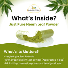 Organic Veda primer plano del polvo de neem, pureza y textura fina